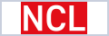 Net Consulting Ltd